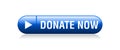 Donate now button