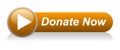 Donate now web button icon Royalty Free Stock Photo