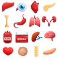 Donate organs icons set, cartoon style