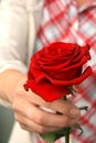 Donating a rose Royalty Free Stock Photo