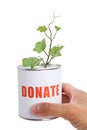 Donation Box and Green Plant