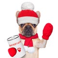Donation dog Royalty Free Stock Photo