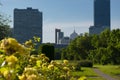 Donaucity, Rose alley in Donaupark Danube Park, Vienna, Austria.