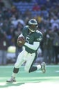 Donavan McNabb Philadelphia Eagles Royalty Free Stock Photo