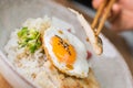 Donburi Chicken served in a Japanese restaurant in Tokyo . Japanese combo dish with chicken, rice, egg, and vegetables.