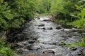 Doncaster river cascades