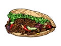 Doner Kebap fast food snack in flatbread vector illustration.