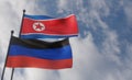 Donetsk flag and North Korea flag, DNR vs North Korea , 3D work and 3D image