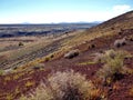 Doney Craters in Coconino National Forest