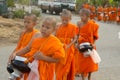 CHAROEN, PHICHIT, THAILAND - APRIL 9, 2017 : Row of Buddhis