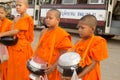 CHAROEN, PHICHIT, THAILAND - APRIL 9, 2017 : Row of Buddhis
