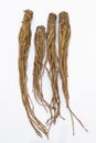 Quai (Angelica sinensis), also known as Dang Gui Ginseng