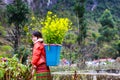 VAN, HA GIANG, VIETNAM, December 18th, 2017: Unidentified ethnic minority kids with baskets of rapeseed flower in Hagiang Royalty Free Stock Photo