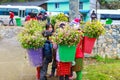 VAN, HA GIANG, VIETNAM, December 18th, 2017: Unidentified ethnic minority kids with baskets of rapeseed flower in Hagiang Royalty Free Stock Photo