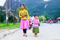 VAN, HA GIANG, VIETNAM, November 18th, 2017: Unidentified ethnic minority kids with baskets of rapeseed flower in Hagiang