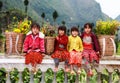 VAN, HA GIANG, VIETNAM, November 18th, 2017: Unidentified ethnic minority kids with baskets of rapeseed flower in Hagiang Royalty Free Stock Photo