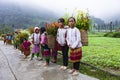 VAN, HA GIANG, VIETNAM, October 13th, 2018: Unidentified ethnic minority kids with baskets of rapeseed flower in Hagiang