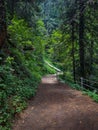 Donga Gali Hiking Track