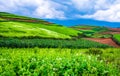 The peculiar scenery of red soil terraces in Dongchuan Royalty Free Stock Photo