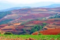 Dongchuan Red Land Royalty Free Stock Photo