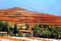 The Dazzling Dongchuan Red Soil Scenic Area