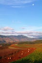 Dongchuan Redland