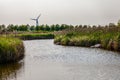 Dongtan Wetland Park at Chongming Island