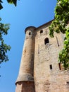 Donjon Royalty Free Stock Photo