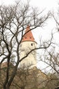 Donjon tower of Castle Krivoklat