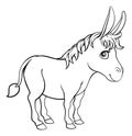 Donkey Animal Cartoon Character