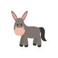 Donkey animal cartoon