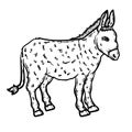 Donkey Animal Coloring Page for Adults Royalty Free Stock Photo