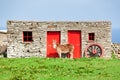 Donkey barn Royalty Free Stock Photo