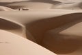 A donkey caravan is tiny on the dunes of the sahara desert, with a large chasm of sand near by.