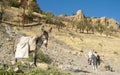 Donkey with cargo on his back in the mountains Royalty Free Stock Photo