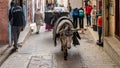 A donkey carrying a load of merchandise in the Fez medina, Morocco Royalty Free Stock Photo