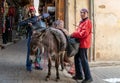 A donkey carrying a load of merchandise in the Fez medina, Morocco Royalty Free Stock Photo