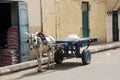 Donkey cart