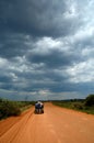 Donkey cart Royalty Free Stock Photo