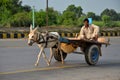 Donkey cart with driver on Pakistani highway