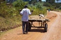 Donkey cart Royalty Free Stock Photo