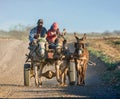 Donkey Cart Royalty Free Stock Photo