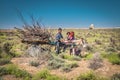 Donkey with cart in Turkmenistan Royalty Free Stock Photo