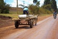 Donkey cart Royalty Free Stock Photo