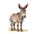 Donkey in cartoon style. Cute Little Cartoon donkey isolated on white background. Watercolor drawing, hand-drawn donkey in Royalty Free Stock Photo