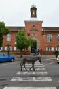 Donkey in the center of Grahamstown, South Africa Royalty Free Stock Photo