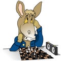 Donkey Chessplayer Royalty Free Stock Photo