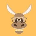 Donkey face in glasses, vector illustration front Royalty Free Stock Photo