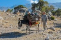 Donkey in the farm at countryside on a mountain path carry cargo with a young boy