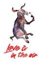 Donkey with flower, watercolor hand-drawn illustation, St. Valentine`s day card. Royalty Free Stock Photo